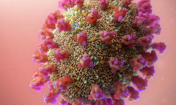 Essential Facts About Covid-19