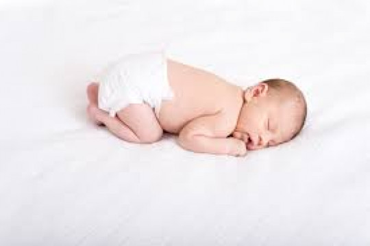 The Facts of Science Prove That Each Human Life Begins at Fertilization