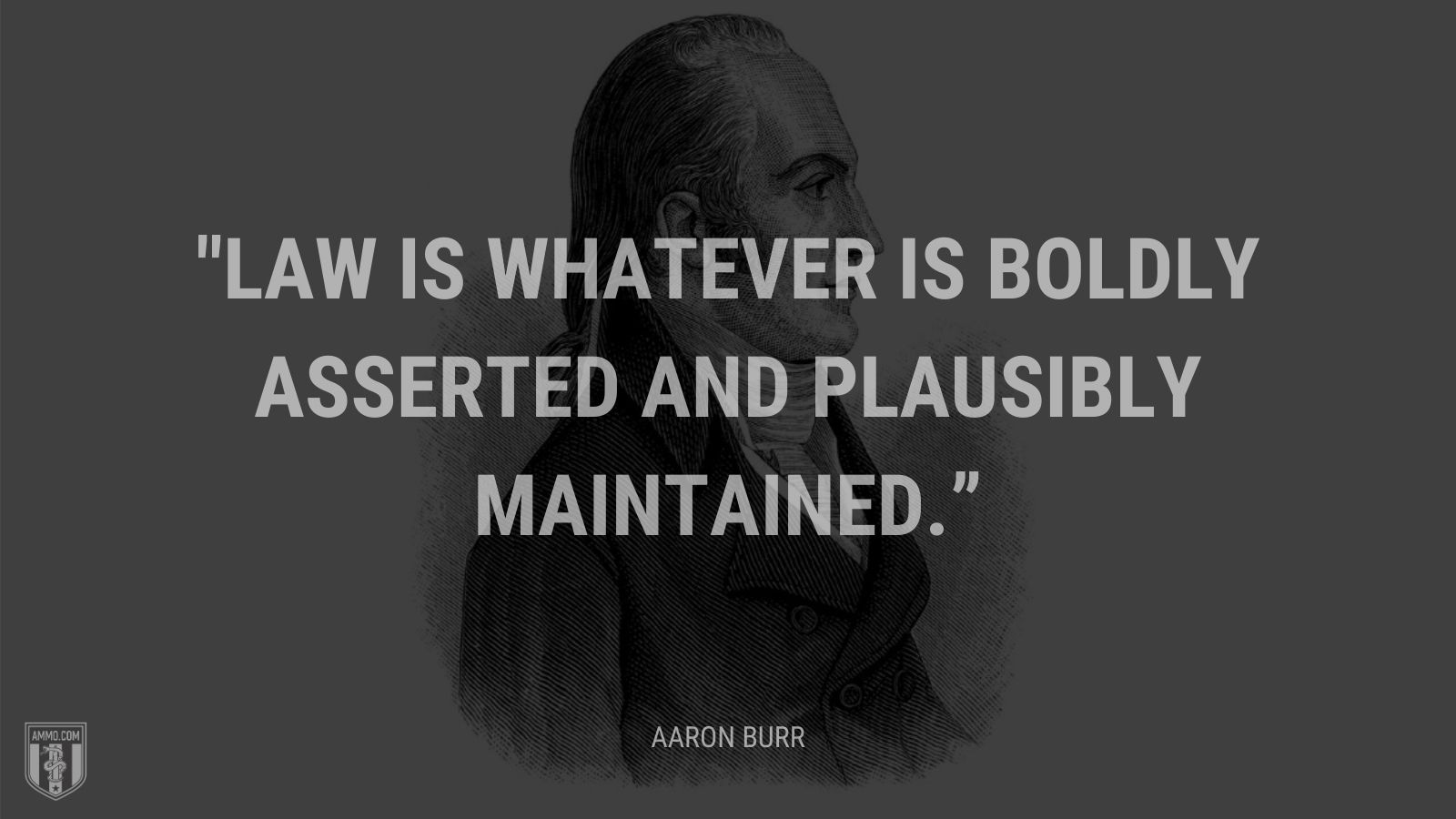 “Law is whatever is boldly asserted and plausibly maintained.” - Aaron Burr