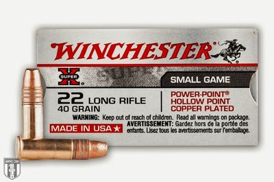 22 Long Rifle ammo for sale