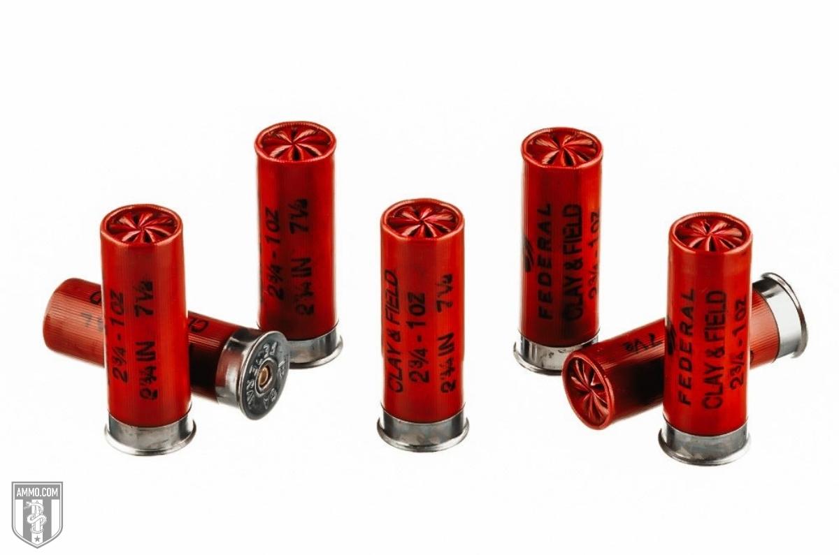 shop 12 gauge shotgun shells