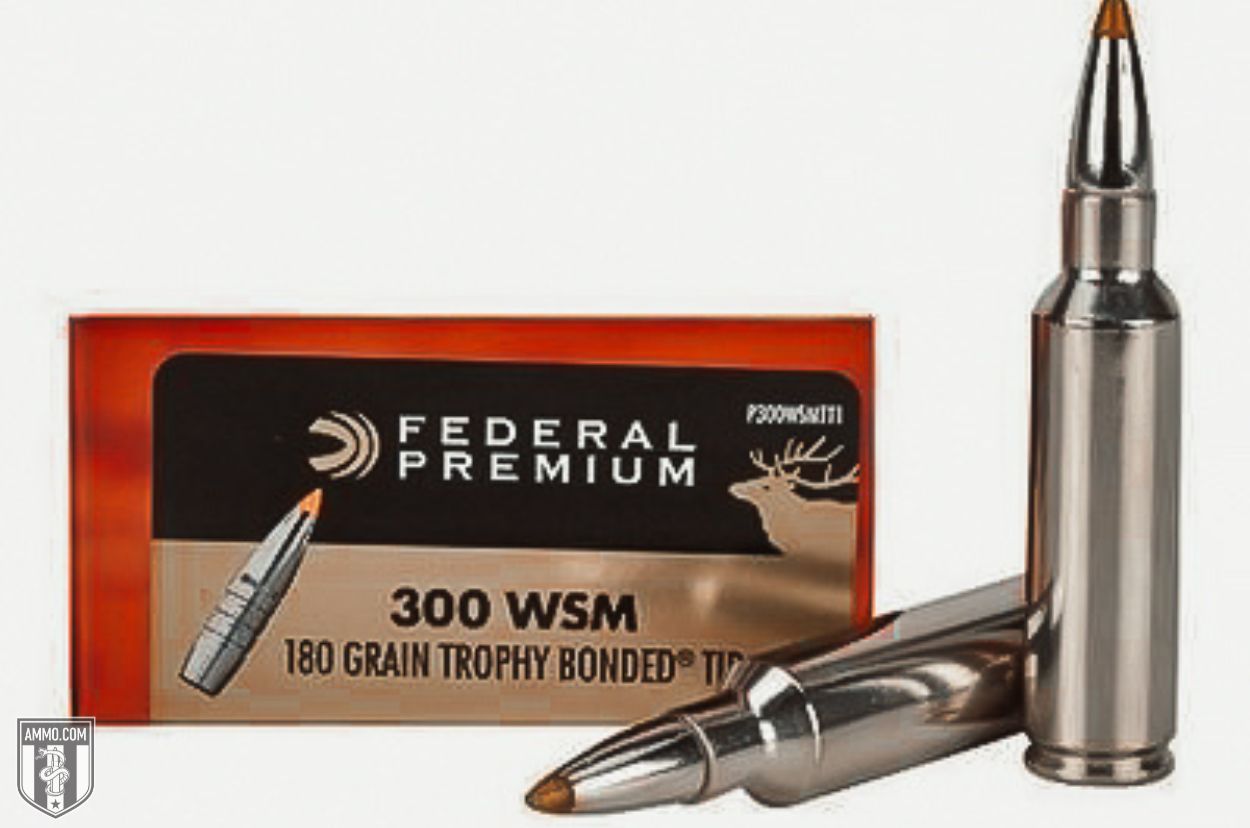 Federal ammo for sale