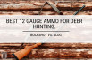 Best 12 Gauge Ammo for Deer Hunting: Buckshot vs. Slug