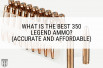 What Is The Best 350 Legend Ammo? (Accurate and Affordable)