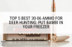 Top 5 Best 30-06 Ammo for Deer Hunting: Put Bambi in Your Freezer