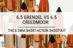 6.5 Grendel vs 6.5 Creedmoor: The 6.5mm Short-Action Shootout