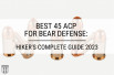 Best 45 ACP for Bear Defense: When You Have to Smoke Smokey